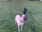 Дмитрий Мишин фотография #41 (источник - https://vk.com/id3219742)