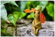 Фотография Волковой Анны