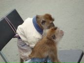 Анна Волкова фотография #40 (источник - https://vk.com/id389342)