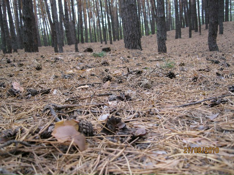 Илья Хатаб фотография #48