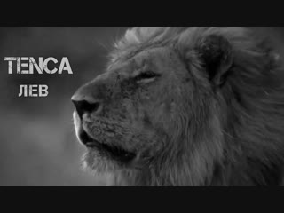 TENCA - Лев (фан клип)