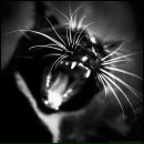 Фотография Андреевны Евгении