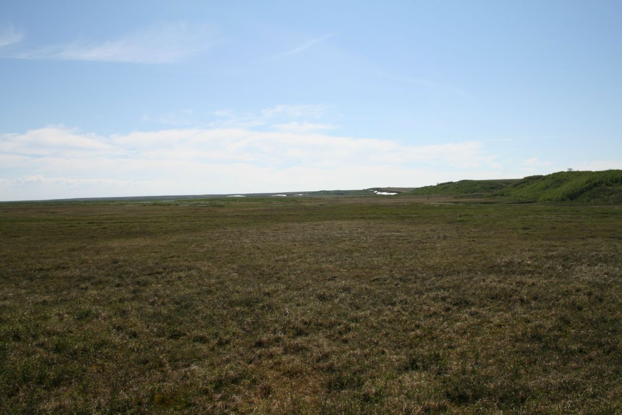 Владимир Дмитриев фотография #44