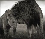 Helene Helene фотография #18 (источник - https://vk.com/id487734)