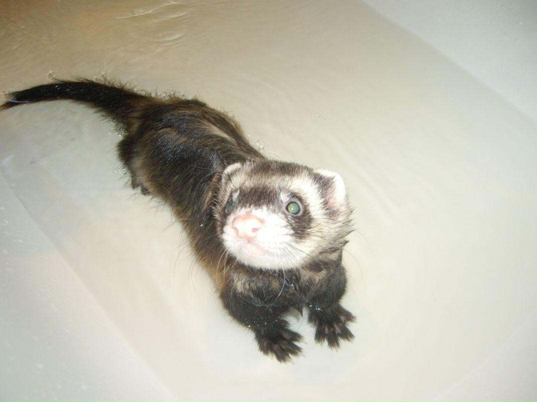 Дима Сергеевич фотография #30