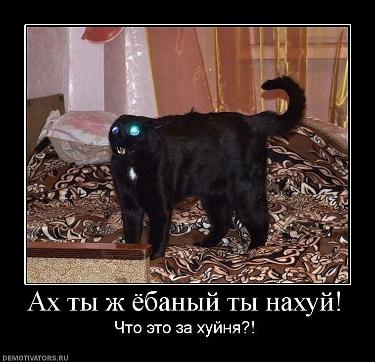 Иван Пташник фотография #23