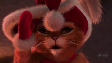 Фотография Федоткова Алексея