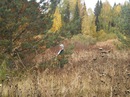 Вячеслав Клабуков фотография #4 (источник - https://vk.com/id151043099)