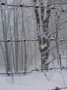 Вася Сірий фотография #21 (источник - https://vk.com/id70227408)