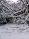 Вася Сірий фотография #14 (источник - https://vk.com/id70227408)