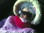 Фотография Петровой Марины