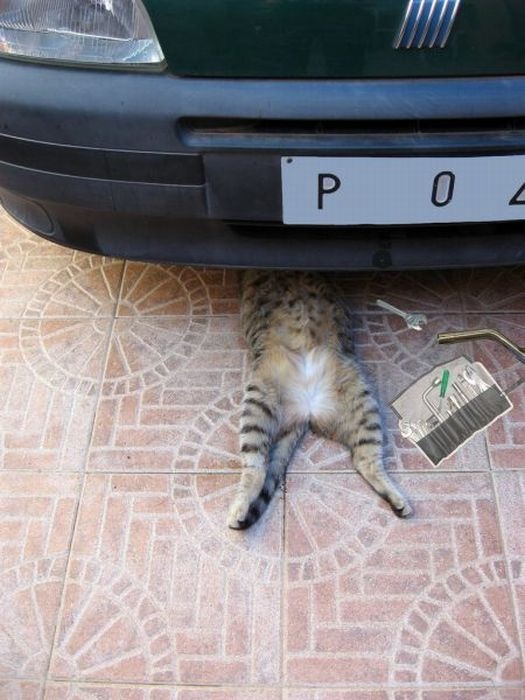 Станислав Пасько фотография #31