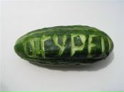 Фотография Касьяновой Елены