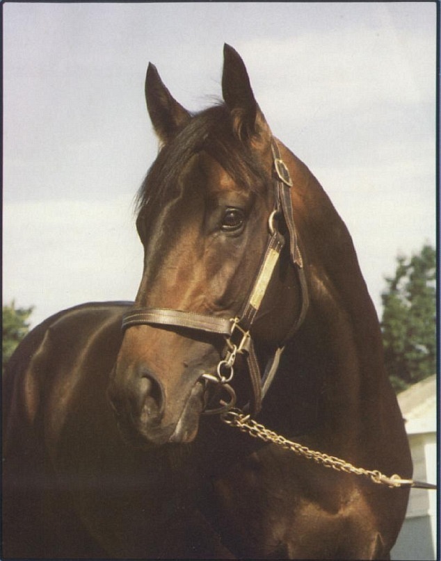 Алаш Монгуш фотография #13