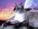 Яна Крижанівська фотография #16 (источник - https://vk.com/id82755711)