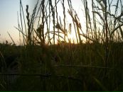 Вітя Расюн фотография #47 (источник - https://vk.com/id19268279)