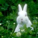 Фотография Логуновой Елены