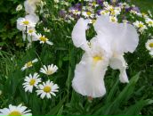 Ірина Бойко фотография #38 (источник - https://vk.com/id17100598)