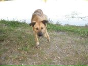 Игорь Чаленко фотография #31 (источник - https://vk.com/id7223598)