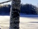 Альбіна Стягун фотография #24 (источник - https://vk.com/id151842057)