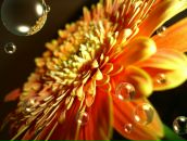 Олег Романів фотография #37 (источник - https://vk.com/id31708224)