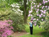 Фотография Дьяченко Натальи