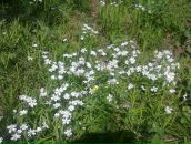 Фотография Козловой Анастасии