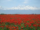 Фотография Зайцева Андрея