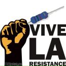 Фотография Гришанова Михана