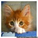 Фотография Тарасовой Татьяны