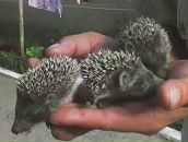 Фотография Ковтуновой Нелли