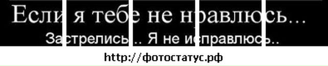 Тарас Савіцький фотография #1