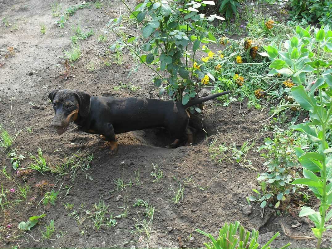 Александр Лысов фотография #33