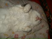 Ігорь Ігнатьев фотография #33 (источник - https://vk.com/id28343995)