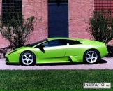 Фотография Пальчика Александра