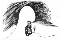 Фотография Polyanskikh Arina