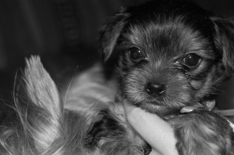 Натали Слепченко фотография #50