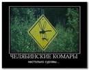 Женя Дісятніков фотография #12 (источник - https://vk.com/id160695072)