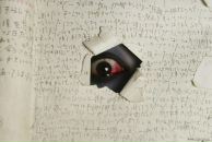 Фотография Дзыгара Данилы