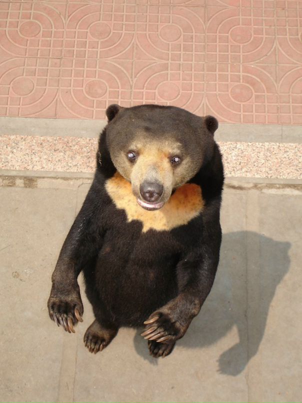 Дмитрий Тимохин фотография #50