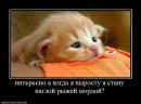 Фотография Скляров Сергей