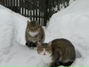 Фотография Утлинского Георгия