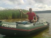 Фотография Музыки Андрея