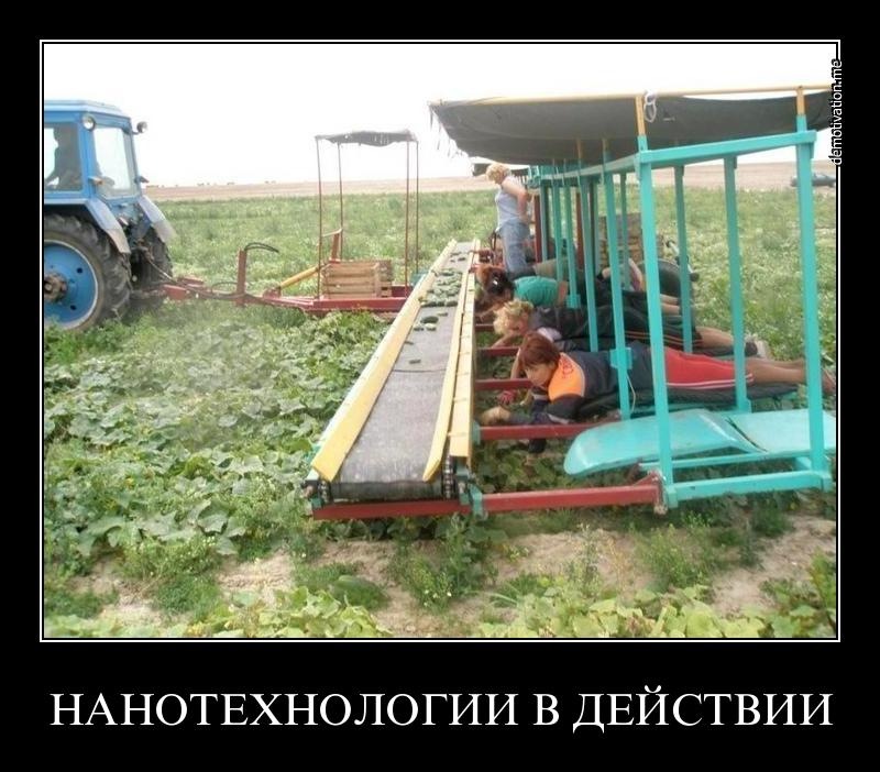 Дмитрий Кашкаров фотография #40