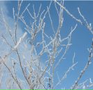 Фотография Барсуковой Виктории