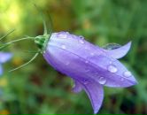 Фотография Мануйловой Татьяны