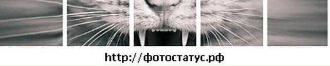 Іра Кулик фотография #46 (источник - https://vk.com/id19033940)