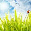 Фотография Плоткиной Виктории