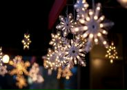 Фотография Лаговской Ольги