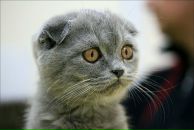 Фотография Разиной Регины